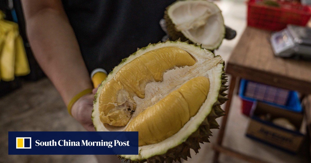 From Janese foreign minister to ‘King of Fruits’ promoter: Taro Kono on his new life as a durian cheerleader