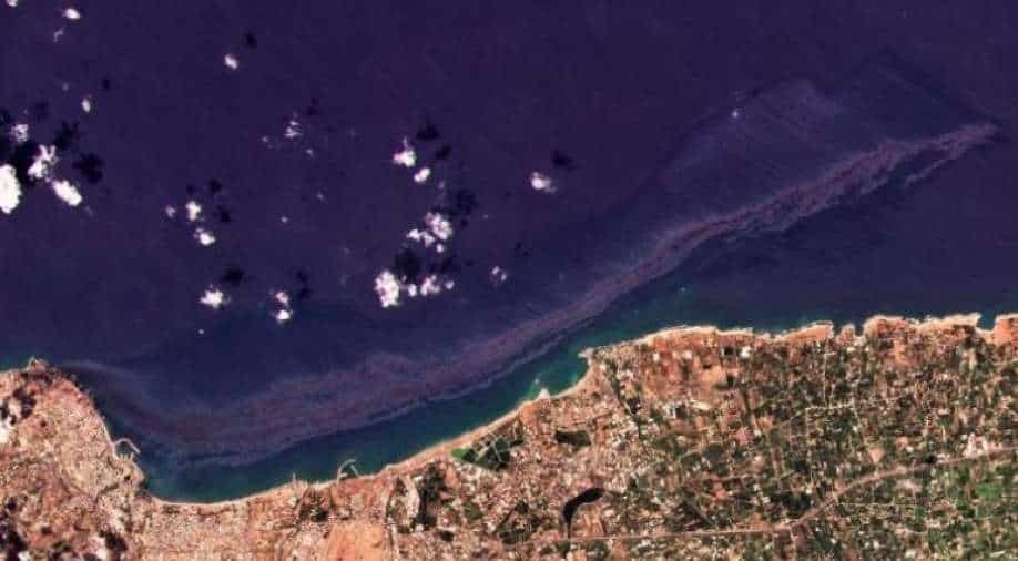 Authorities warn that an oil spill the size of New York City could hit Cyprus